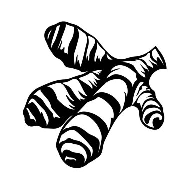 Çizgi Sanatı ve Açık Gölge Efektleri ile Taze Çiğ Zencefil Kökünün Detaylı Resmedilmesi