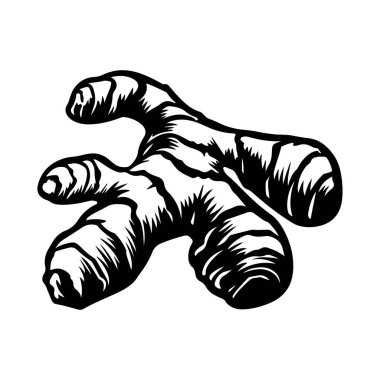 Elle çizilmiş zencefil kökü, organik şekil ve dokuyu aşçılık tasarımı için siyah ve beyaz olarak tasvir ediyor.