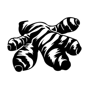 Ginger Kökü Mutfak ve Sağlık Kullanımı İçin Sade Arkaplanda Detaylı Siyah-Beyaz Görünümü