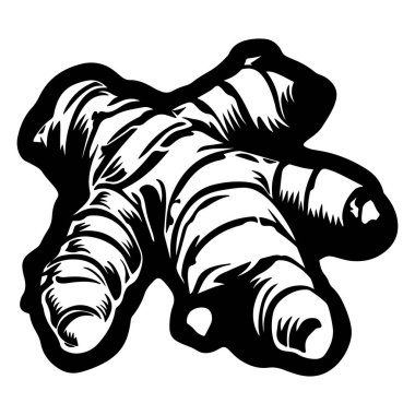 Taze zencefil kökü sergilenen karmaşık doku ve detayların gerçekçi çizimi