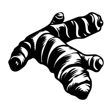 Taze Organik Zencefil Kökü Mutfak Kullanımı ve Siyah ve Beyaz Çizim Biçiminde Doğal Çözümler