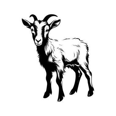 Oyuncak İfade ve Ayırt Edici Özelliklere sahip Ayakta Duran Keçi 'nin Siyah ve Beyaz Çizimi