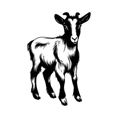 Oyuncu İfadesiyle Ayakta Duran Sevimli Genç Keçinin Çizgi Film Sanatsal İllüstrasyonu