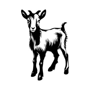 Siyah ve Beyaz Keçi ResimleriComment of Playful Expression in Stylized Artistic Design