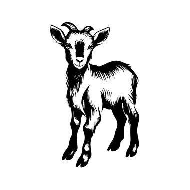 Siyah ve Beyaz Oyuncu Genç Keçi Çizimi, Çiftlik ve Hayvan Temalı Tasarım ve Projeler İçin İdeal