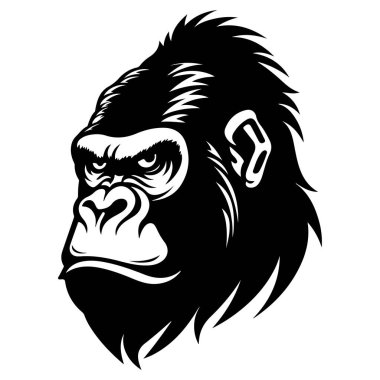 Yoğun İfade ve Belirgin Özelliklere sahip Görkemli Bir Goril Başı 'nın Ayrıntılı Siyah ve Beyaz Çizimi