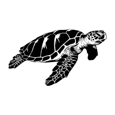 Okyanus Sularında Yüzen Deniz Kaplumbağalarının Siyah ve Beyaz Resimleri Biçimli ve Eşsiz Grafik Tasarımı