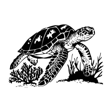 Mercan Resifi ve Su altı Bitkileri Arasında Yüzen Bir Deniz Kaplumbağasının Siyah ve Beyaz Çizimi