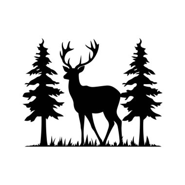 Uzun çam ağaçlarıyla çevrili bir ormanda duran zarif bir geyik silueti.