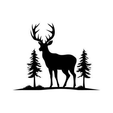 Bir geyiğin heybetli silueti durgun doğal bir manzaranın içinde ebedi yeşil ağaçların arasında duruyor.