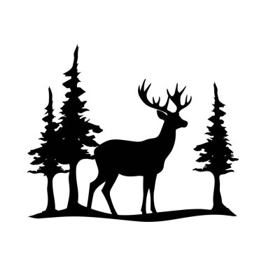 Doğal Manzaradaki Uzun Çam Ağaçları Arasındaki Geyiğin Zarif Silueti