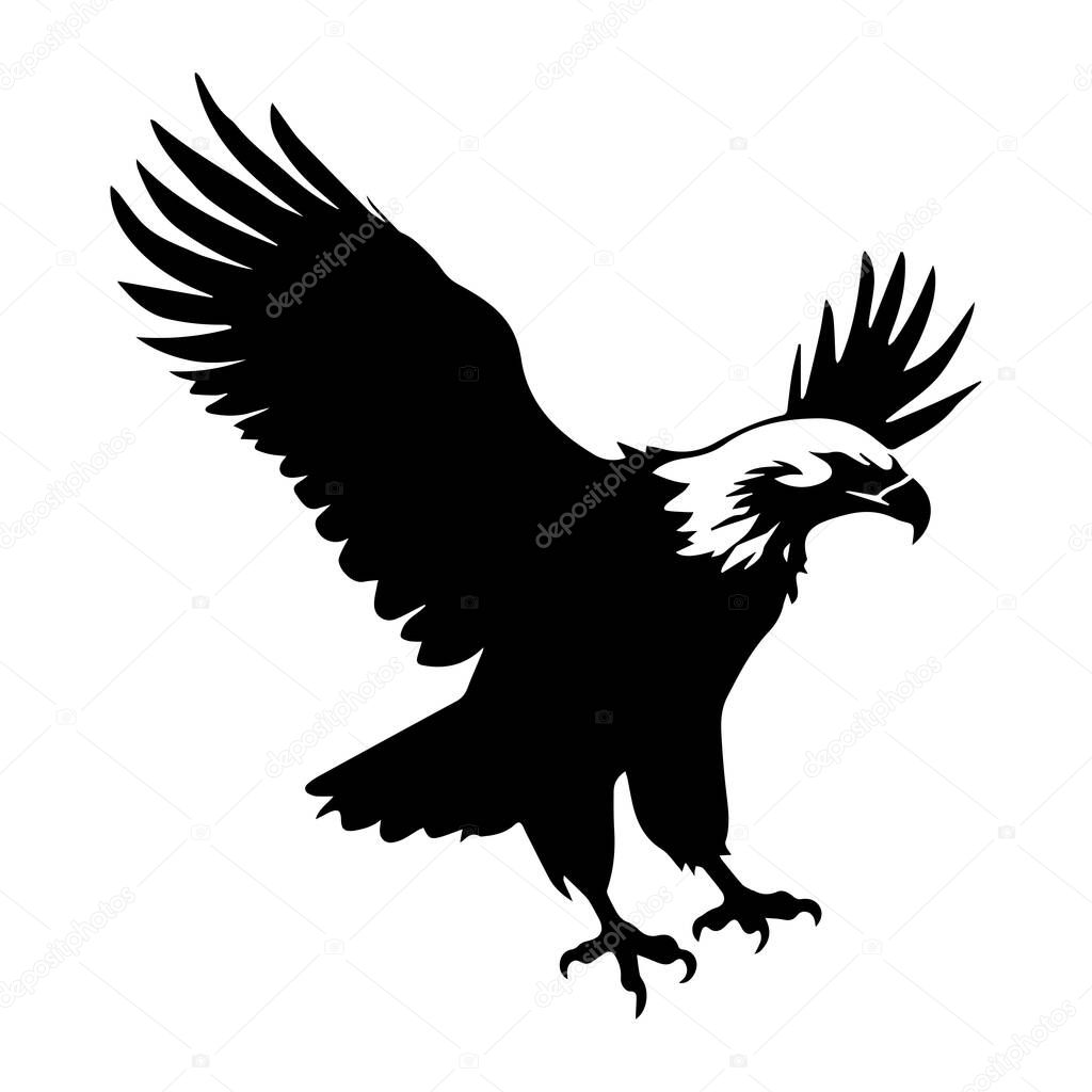 Elegant black silhouette of a soaring eagle with spread wings symbolizing freedom and strength in nature