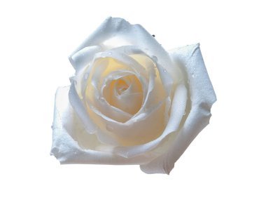 Beyaz arka plan üzerinde izole. (kırpma yolu)    