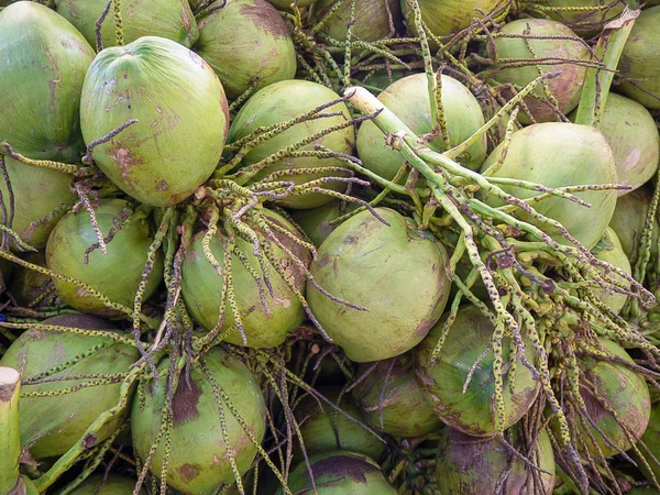 椰子香水 美味的果冻 它醇厚甜美的花蜜 健康水果 — 图库照片