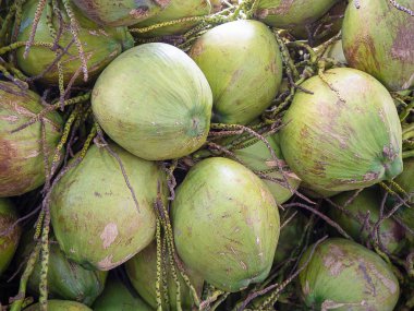 Hindistan cevizi parfüm, lezzetli reçel, tatlı nektar olgun. (Sağlıklı meyve)