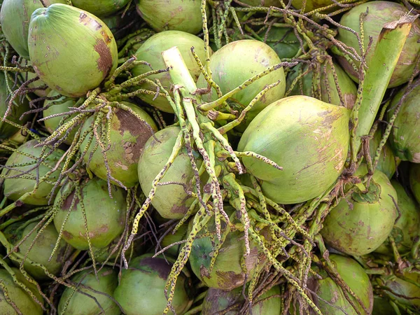 椰子香水 美味的果冻 它醇厚甜美的花蜜 健康水果 — 图库照片