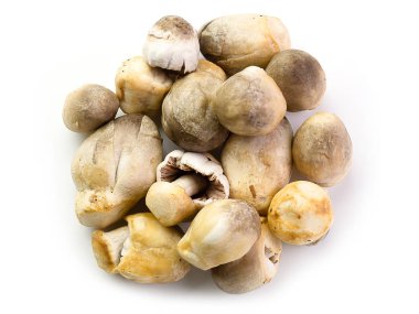 (Üstteki görünüm) Beyaz arka planda izole edilmiş saman mantarları.