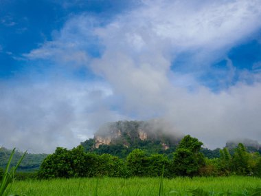 Tham Pha Ya veya Bat Cave, Na Duang District, Loei il.
