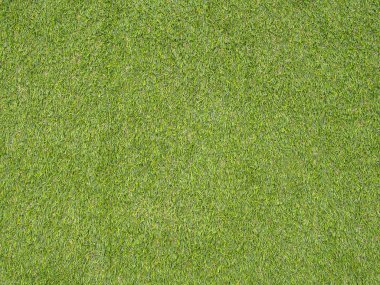 Yeşil çim, doğal arka plan doku. (Arka plan görüntüsü için kullanılan ya da tasarım iş)