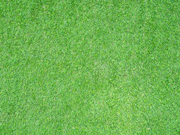 Green Grass Natural Background Texture Used Background Image Design Work — Stock Photo, Image