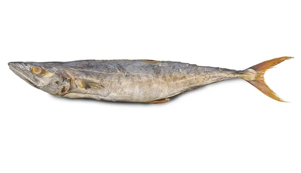 Dry Fish King Mackerel Salty Isolated White Background Clipping Path — Stock Photo, Image