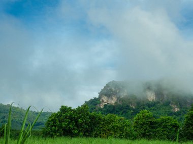 Tham Pha Ya veya Bat Cave, Na Duang District, Loei il.
