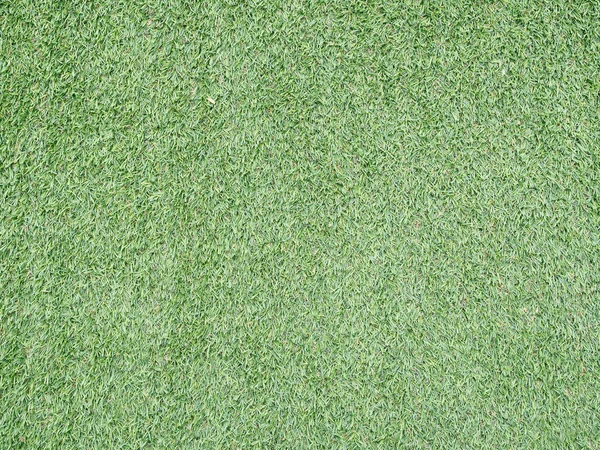 Green Grass Natural Background Texture Used Background Image Design Work — Stock Photo, Image