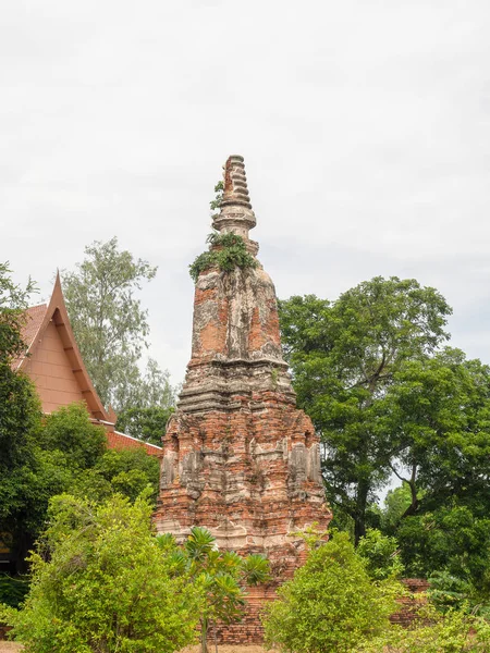 Wat Phu Khao Thong Tajlandia Ayutthaya — Zdjęcie stockowe