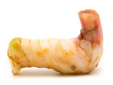 (Close Up) Beyaz arka plan üzerinde büyük galangal.