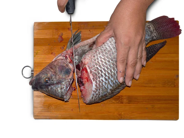 Fresh Fish Chef, cut fish fillet in a fish shop on white background.