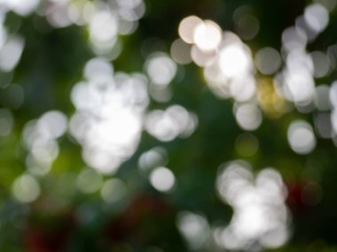 yeşil bokeh arka plan. Arka plan görüntüsü için kullanılan ya da tasarım iş.