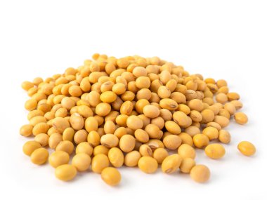 Beyaz arka plan üzerinde çiğ kurutulmuş soya fasulyesi. 