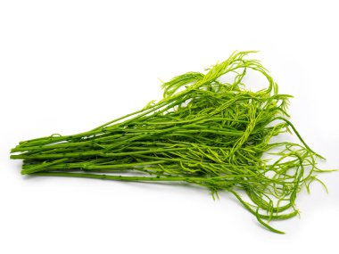  tazelik sebze Akasya Pennata, ya da cha-om. 