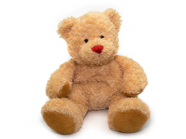 Teddybeer pop op witte achtergrond. Rechtenvrije Stockfoto's