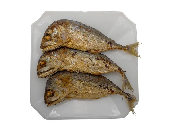 Fried mackerel on the plate. — Stock Photo, Image