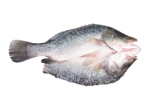 Filetes Robalo Fresco Cortado Isolado Fundo Branco Isso Tem Caminho — Fotografia de Stock