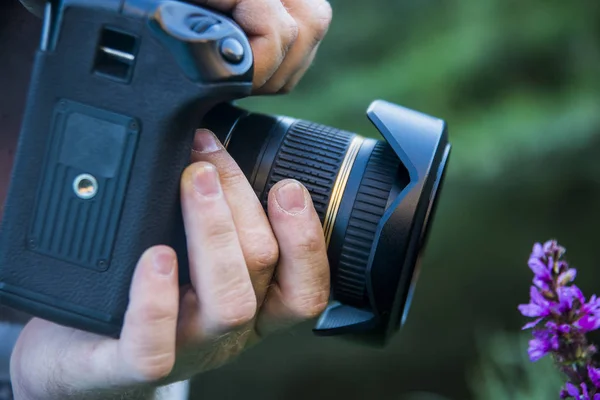 Photographe Avec Appareil Photo Moderne Lors Photographie Pourpre Fleur Sauvage — Photo