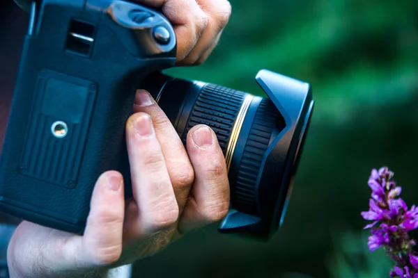 Fotógrafo Con Cámara Moderna Fotografiar Flor Silvestre Púrpura — Foto de Stock