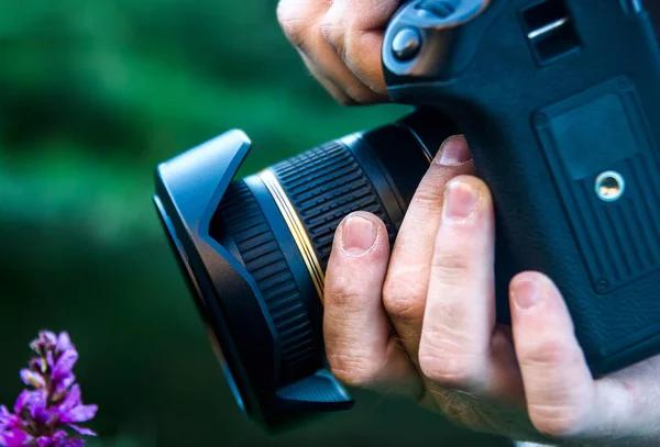 Fotógrafo Con Cámara Moderna Fotografiar Flor Silvestre Púrpura — Foto de Stock