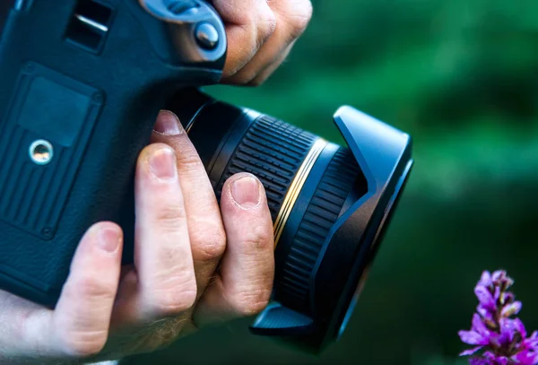 Fotógrafo Con Cámara Moderna Fotografiar Flor Silvestre Púrpura — Foto de Stock