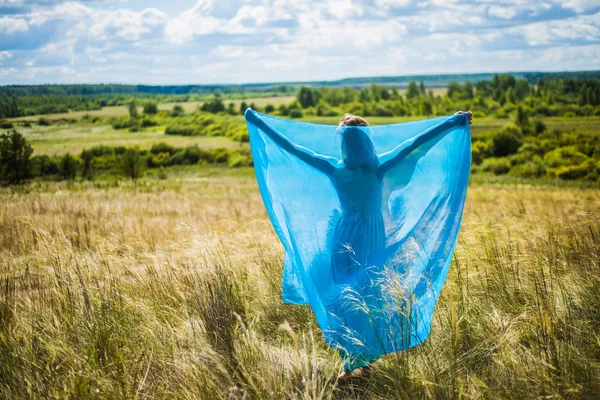 밀밭에서 로맨틱 여자의 초상화 그녀는 파란색 우아한 드레스 입으십시오 — 스톡 사진