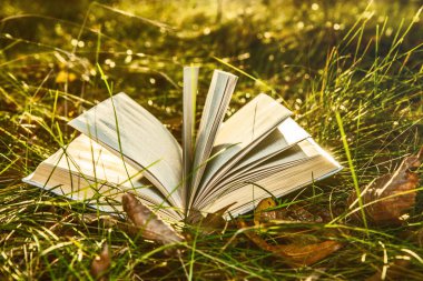 Açık kitap günbatımı üzerinde sarı çimenlerin üzerinde. okula dönüş