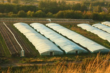 seralarda bahçesinde Selofan bant. Sıcak evler.