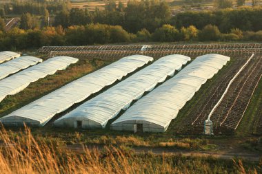 seralarda bahçesinde Selofan bant. Sıcak evler.