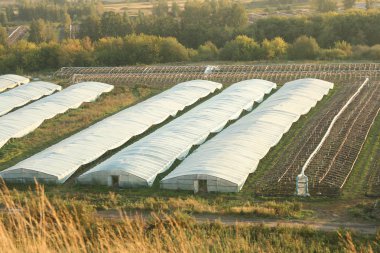 seralarda bahçesinde Selofan bant. Sıcak evler.
