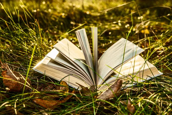 Opened Book Yellow Grass Sunset Back School — Stock Photo, Image