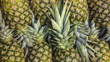 Gıda arka plan - olgun taze ananas