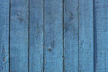 Mavi renkli boyalı eski püskü ahşap arka plan panoları