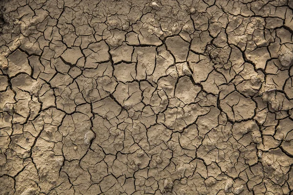 Texture Dry Grey Cracked Earth Desert Background — Stock Photo, Image