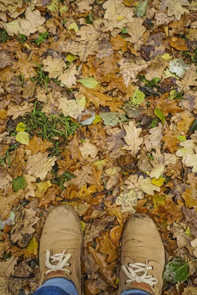 Homem Sapatos Castanhos Folhas Secas Outono — Fotografia de Stock